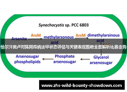 恰尔汗奥卢对阵阿森纳法甲状态评估与关键表现前瞻全面解析比赛走势